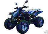 img2.jpg