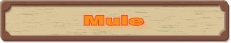 Mule