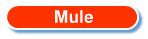 Mule